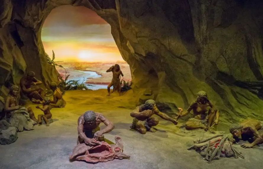 人类进化史中，大门的衍化史？#甲骨文趣考：户